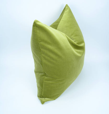 Sage Green Velvet Pillow | Luxury Cotton Velvet Cushion Cover -